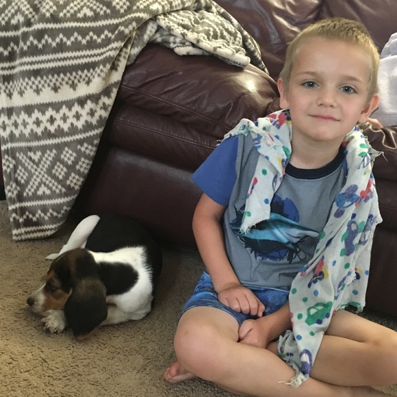 🌟🌟In Search Of🌟🌟 - Picture 5 of 8